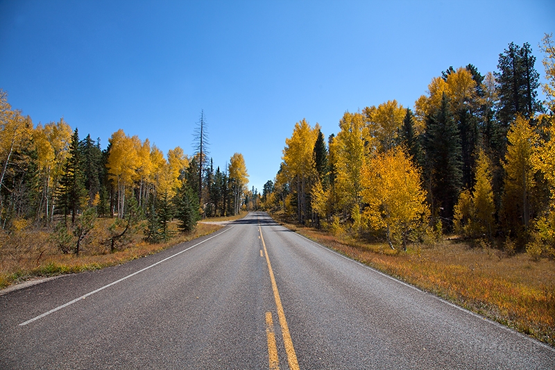 Hinein in den Grand Canyon NP